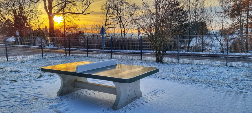Pingpongtafel Afgerond Groen