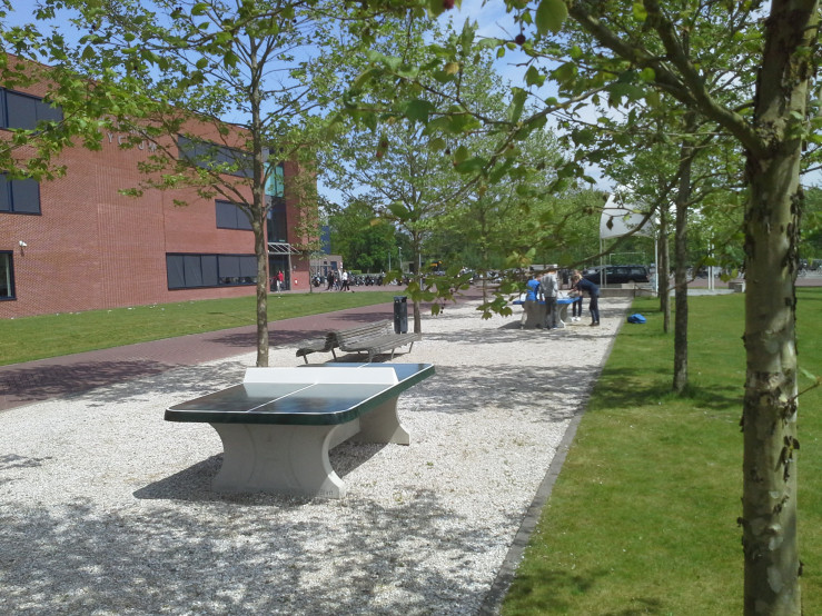 Pingpongtafel Afgerond Groen