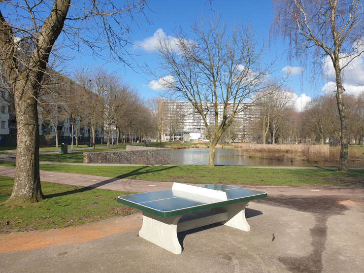 Pingpongtafel Afgerond Groen