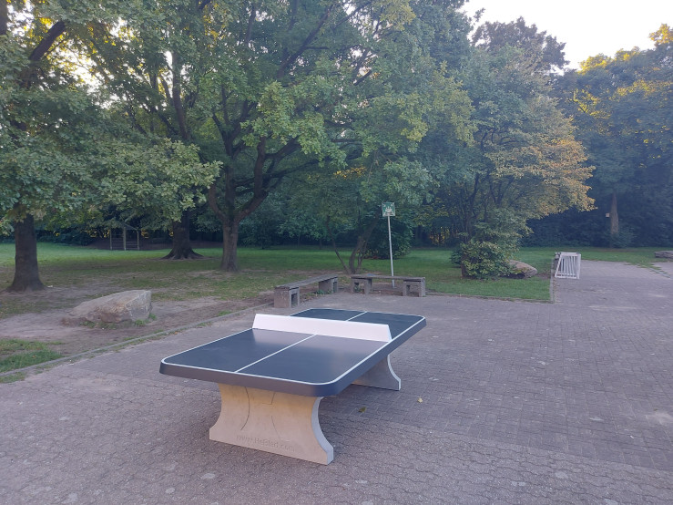 Pingpongtafel Afgerond Antraciet