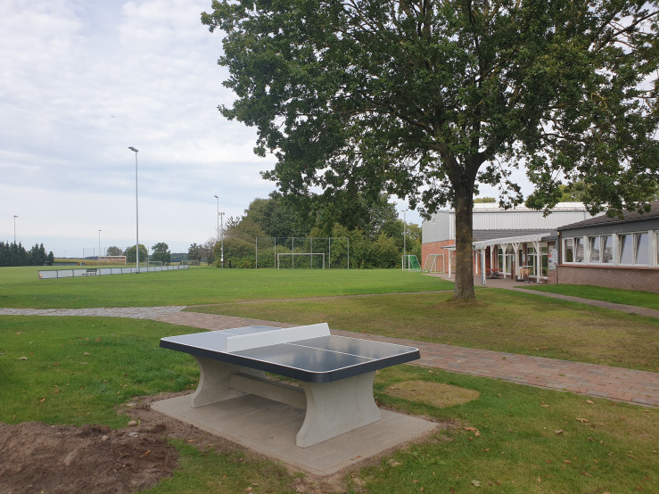 Pingpongtafel Afgerond Antraciet
