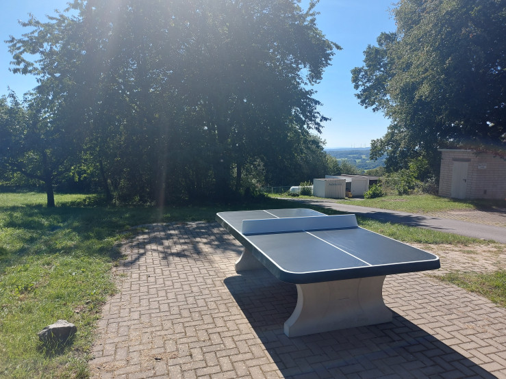 Pingpongtafel Afgerond Antraciet