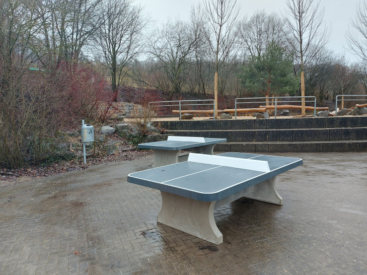 Pingpongtafel Afgerond Antraciet