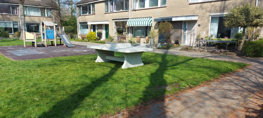 Pingpongtafel Afgerond Naturel Beton