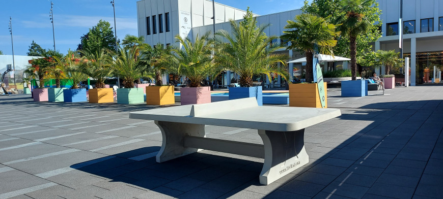 Pingpongtafel Afgerond Naturel Beton