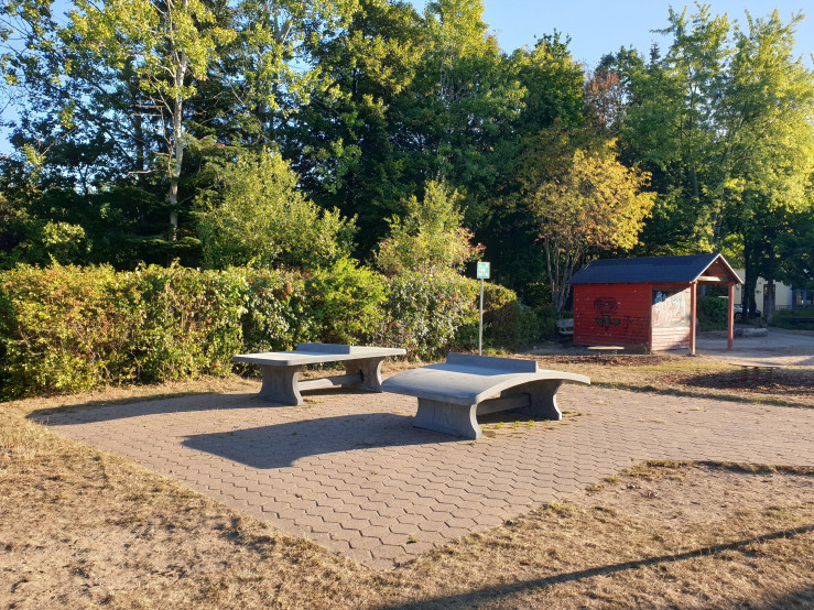 Pingpongtafel Afgerond Antraciet-Beton