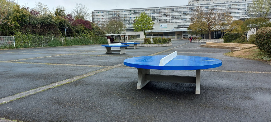 Pingpongtafel Rond Blauw