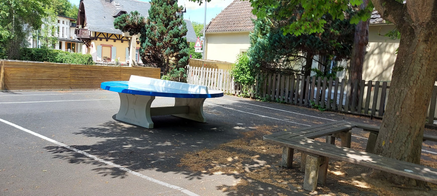 Pingpongtafel Rond Blauw