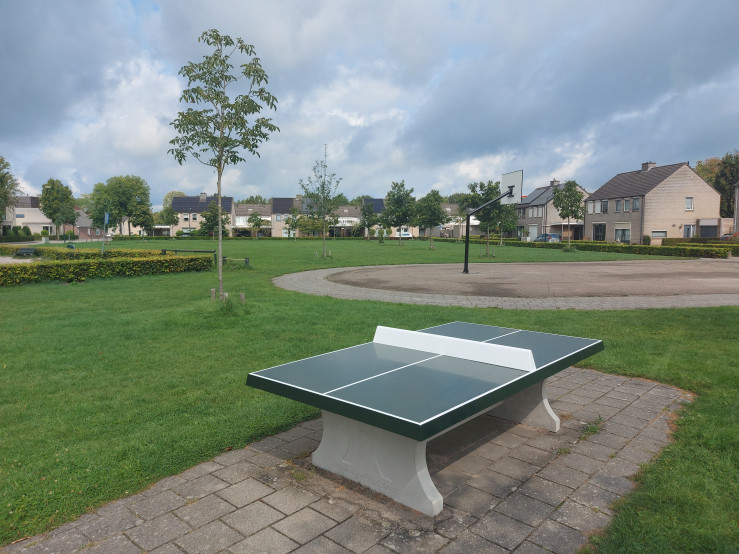 Pingpongtafel Groen