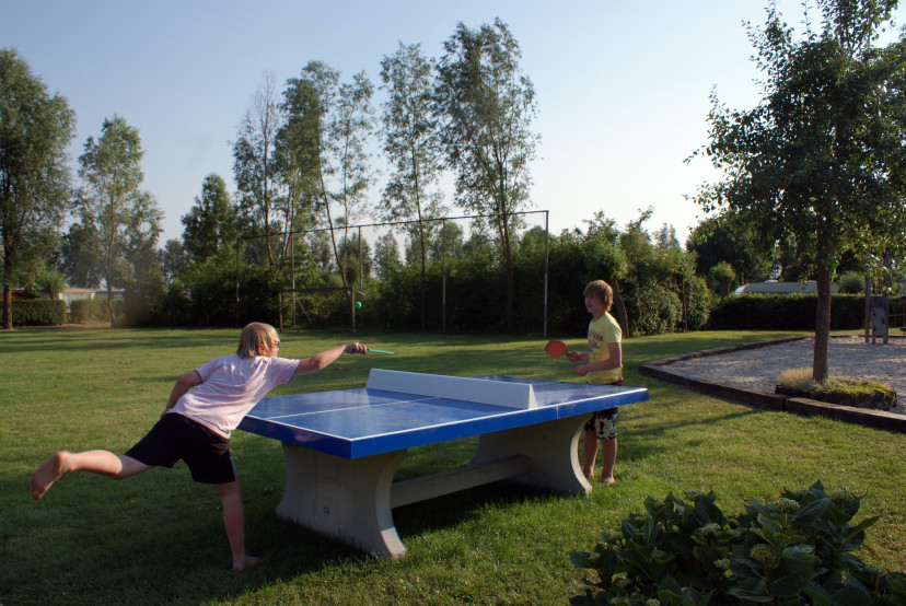 Pingpongtafel Blauw