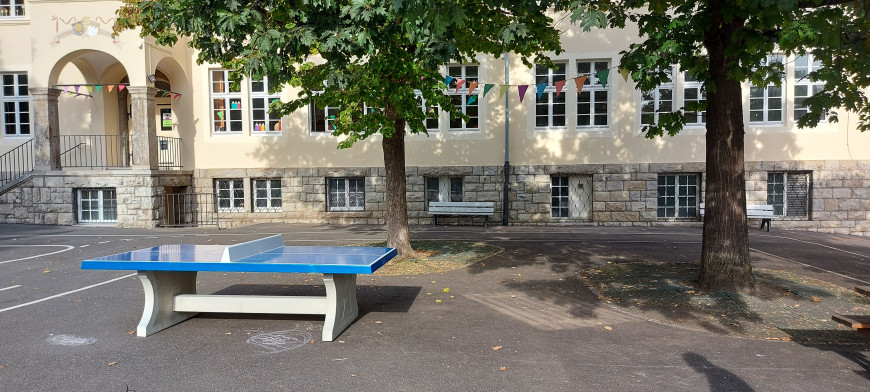 Pingpongtafel Blauw