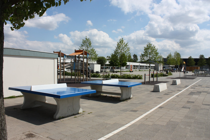 Pingpongtafel Blauw