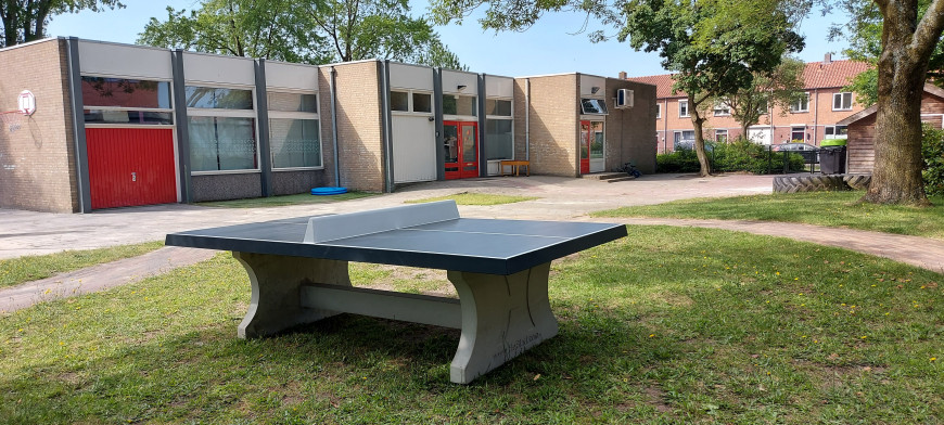 Pingpongtafel Antraciet