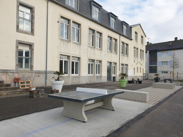 Pingpongtafel Antraciet