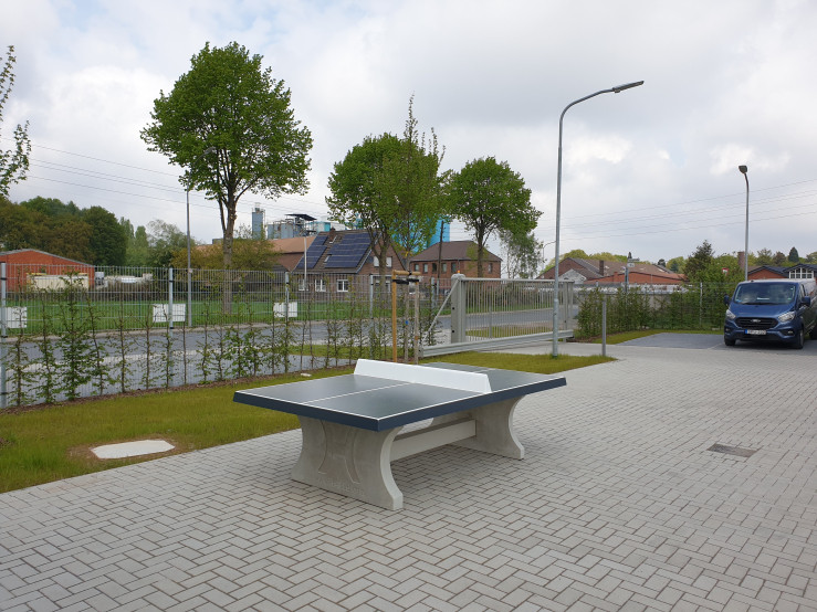 Pingpongtafel Antraciet