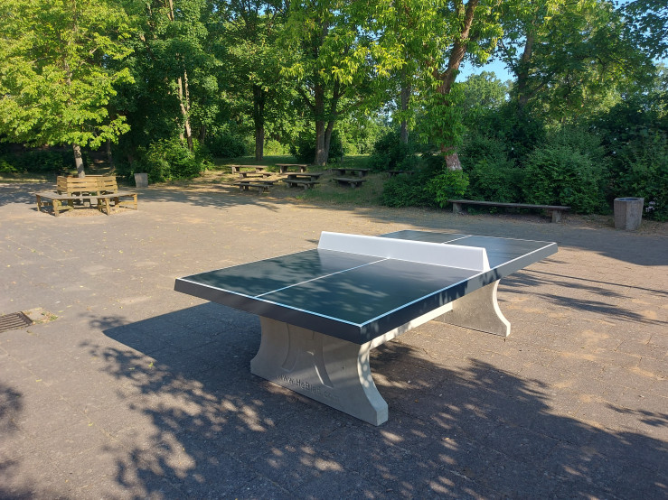 Pingpongtafel Antraciet