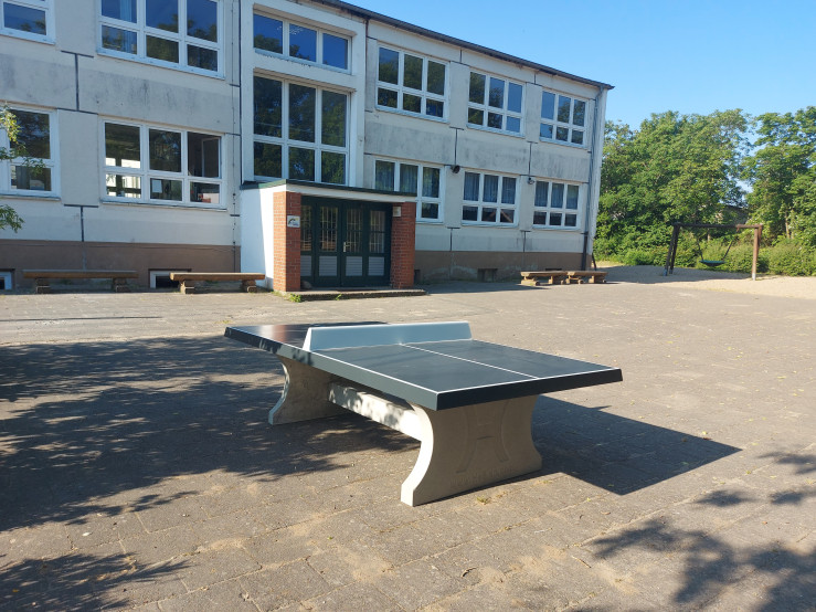 Pingpongtafel Antraciet