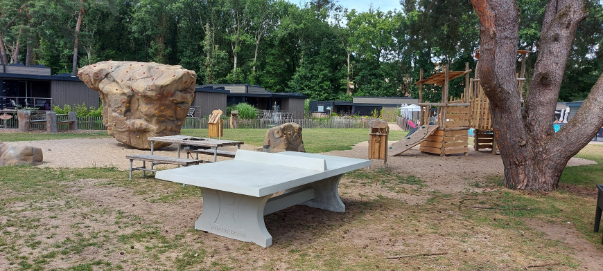Pingpongtafel Naturel Beton